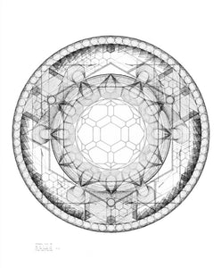 Triangular Wheel